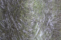 Woodham Walter fibreglass roof work